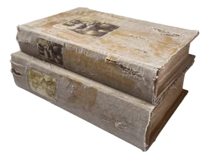 Late 20th Century Set of Linen Clad Book Boxes With Leonardo Da Vinci Illustrations