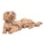 Vintage Indian Carved and Painted Dog Statue For Sale