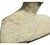 Stone 15th Century Large Spiral Ammonite Fossil Ram Horn Style Display Specimen on Matrix For Sale - Image 7 of 9