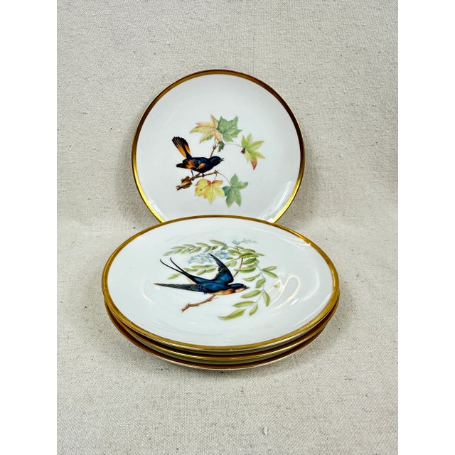 Vintage Bavarian bird plates. These are pre-owned items so please see all pictures and ask any questions.