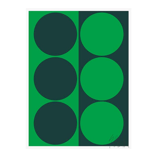 Dynamic Pair Green Fine Art Print 35" X 50" by Liz Roache For Sale