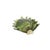 Floral Murano Glass Wall Sconces in Green, 2000, Set of 2 For Sale - Image 3 of 11