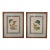 Pair of Vintage Framed & Matted Butterfly Engravings For Sale