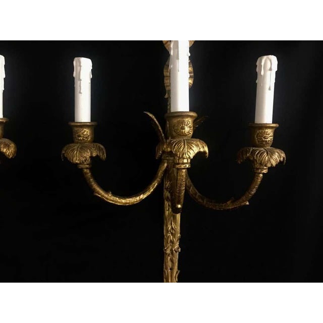 18th Century Rococo Giltwood Three-Light Wall Sconces For Sale - Image 5 of 11