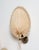 Mid-Century Modern Fan Wall Lights in the style of Ingo Maurer, 1970s, Set of 2 For Sale - Image 3 of 13