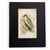 1896 Matted Antique Bird Prints Pair — Chimney Swallow & Green Woodpecker For Sale - Image 4 of 8