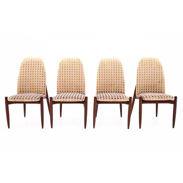 Czechoslovakian Chairs, 1950s, Set of 4 For Sale - Image 11 of 11