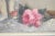 Textile The Doll and the Rose Still Life Oil Painting C.1930 For Sale - Image 7 of 10