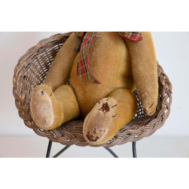 Antique American Teddy Bears with Ribbons Sitting in Wicker Chairs, Priced Each For Sale - Image 9 of 15