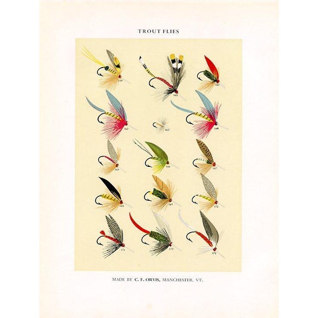 Original mid-century color lithograph print of Trout fishing flies. Based on the designs of the American sportsman Charles...