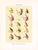 Original mid-century color lithograph print of Trout fishing flies. Based on the designs of the American sportsman Charles...