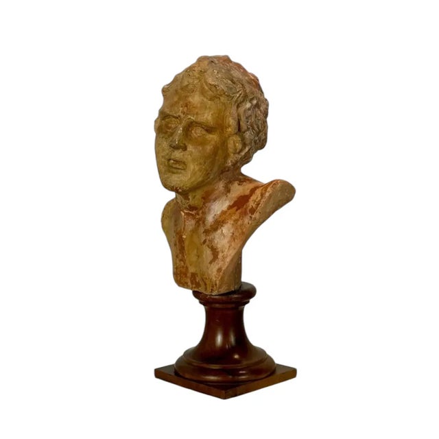 Classic Male Bust, 1890s-1910s, Terracotta, in Good conditions. Designed 1890 to 1919