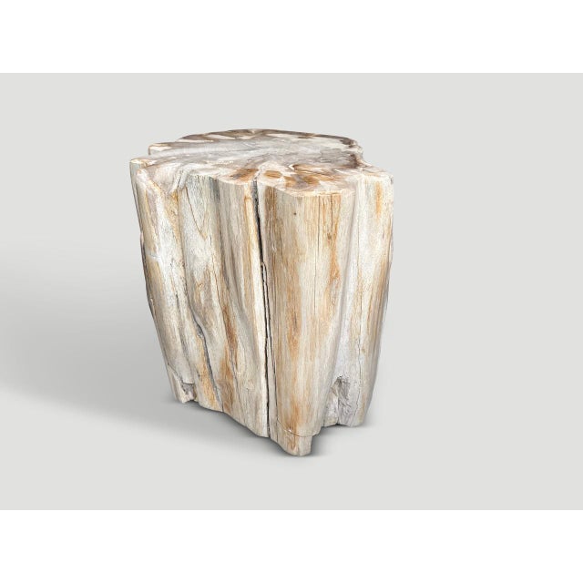 2020s Andrianna Shamaris Impressive High Quality Ancient Petrified Wood Side Table For Sale - Image 5 of 5