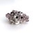 Shell Natural Barnacles Cluster For Sale - Image 7 of 8
