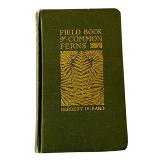 Antique Field Book of Common Ferns - 1928 First Edition For Sale