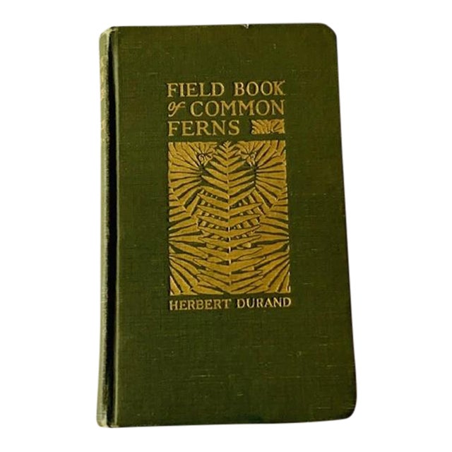 Antique Field Book of Common Ferns - 1928 First Edition For Sale