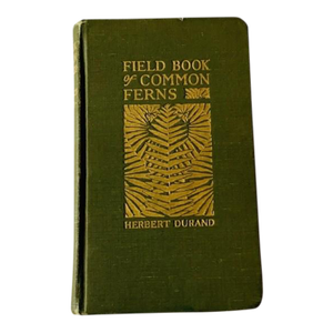 Antique Field Book of Common Ferns - 1928 First Edition