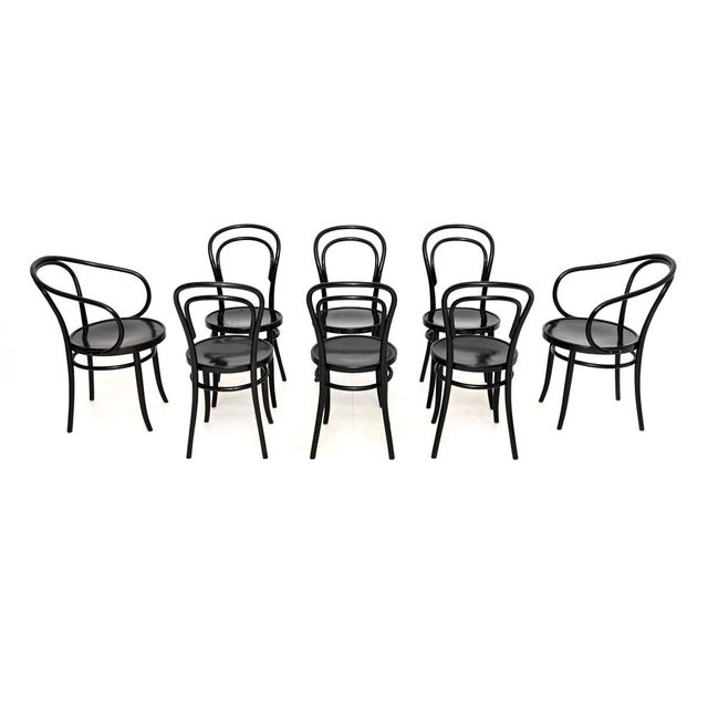 Vintage Bentwood Dining Chairs from ZPM Radomsko, 1960, Set of 8 For Sale - Image 13 of 13
