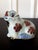 White Korean Ceramic Water Dropper in Dog Form Joseon Dynasty For Sale - Image 8 of 17
