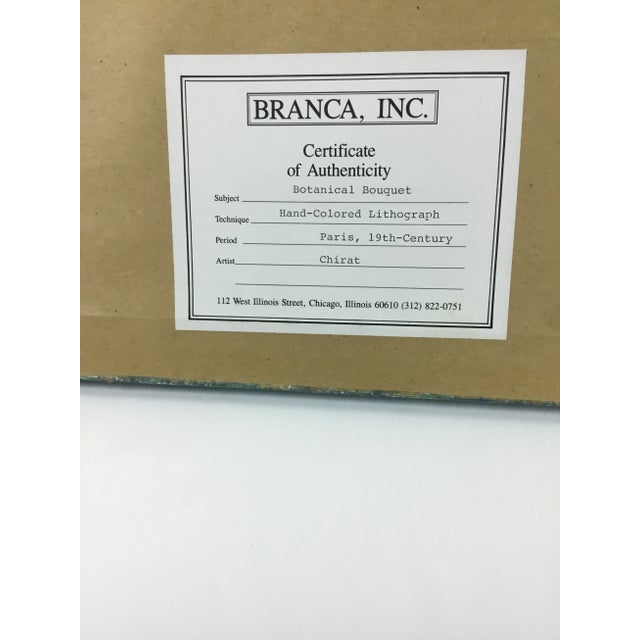 19th Century Paris Botanical Lithograph Prints by Chirat - a Pair For Sale - Image 12 of 13