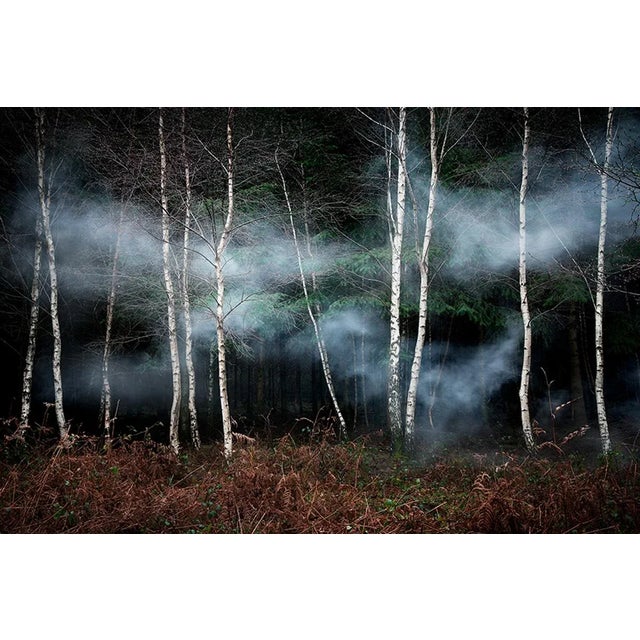 Between the Trees 2 is a Digital C-Type Print on Fuji Maxima Matte paper, available in this size from a Limited Edition of...