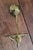 Vintage Wall Mounted Antique Brass Soap Dish Cup Holder For Sale - Image 4 of 13
