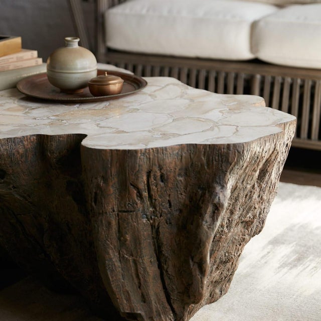 Attributed Palecek Chloe Fossil Clam Lava Coffee Table For Sale - Image 15 of 15