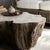 Attributed Palecek Chloe Fossil Clam Lava Coffee Table For Sale - Image 15 of 15