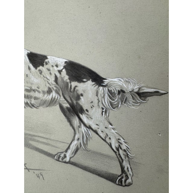 Illustration Original Signed Graphite Illustration of English Setter, 10.5 × 9.5 In. For Sale - Image 3 of 5