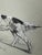 Illustration Original Signed Graphite Illustration of English Setter, 10.5 × 9.5 In. For Sale - Image 3 of 5