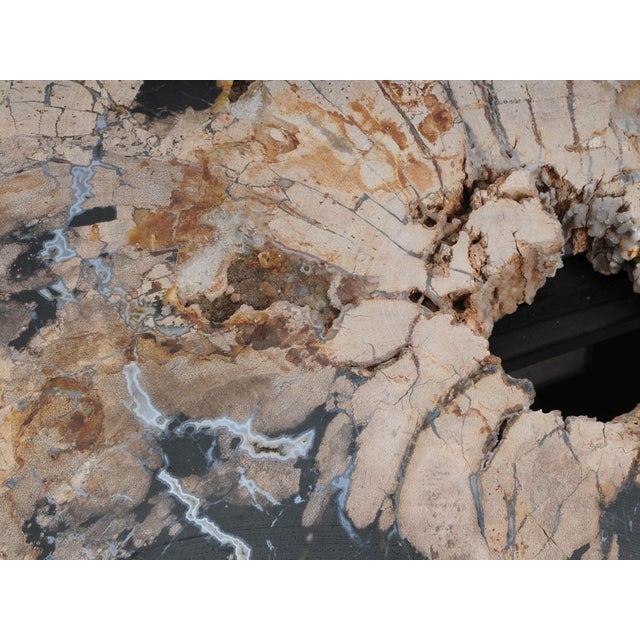 Petrified Wood Coffee Table with Crystals by Xyleia Petrified Wood For Sale - Image 4 of 6