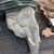 Bottle Green Delightful Elephant Wall Bracket For Sale - Image 8 of 12