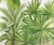 36" * H96" * 2ps, Hand-Painted Tropical Toucan Palm Leaf Jungle Wallpaper Mural For Sale - Image 4 of 4