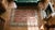 1850s Pink Rose Medallion Antique Persian Serab Rug 4'0" X 5'0" Knotted Wool Carpet For Sale In New York - Image 6 of 7