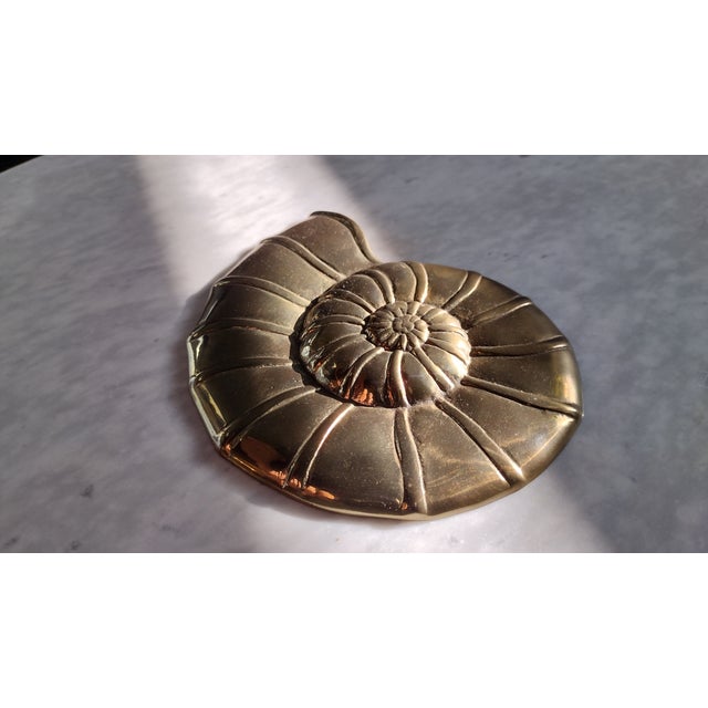 Vintage Brass Nautilus Sea Shell Wall Hanging For Sale In Washington DC - Image 6 of 8