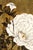 Not Yet Made - Made To Order 1882 Peonies Japanese Floral Fine Art Print by Shibata Zeshin - 8" X 12" For Sale - Image 5 of 9