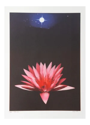 Michael Knigin, Lone Lily, Lithograph