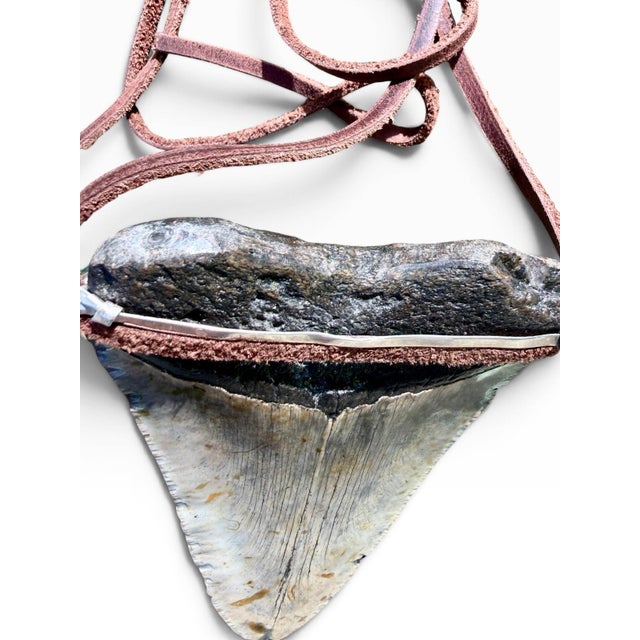 Roie Jaque Navajo Sterling Silver Turquoise Megalodon Tooth Pendant Necklace For Sale - Image 11 of 18