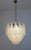 2020s Italian Murano Chandelier 41 Glass Petals Drop For Sale - Image 5 of 9