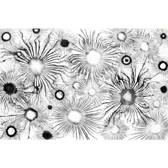 Early 21st Century Sumit Mehndiratta, Exploflora Series No.95, 2021, India For Sale - Image 5 of 8