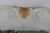 Mid 20th Century Porcelain Trinket Dish Ashtray Agrigento Italy Temple of Concordia Motif 4873b For Sale - Image 5 of 12