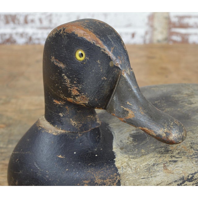 Antique Carved Bluebill Duck Decoy Chairish