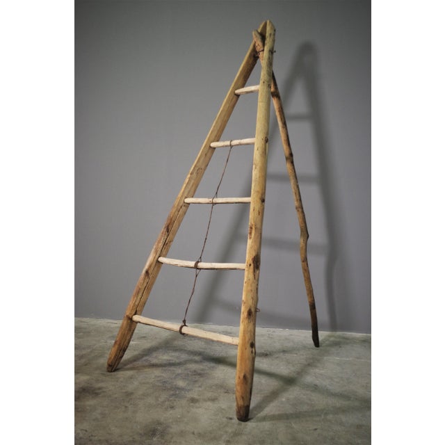 Fir & Beech Wood Ladder For Sale - Image 14 of 14