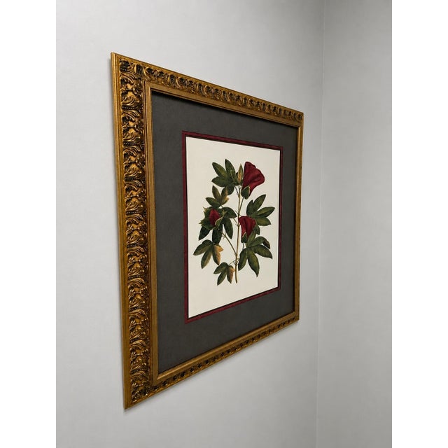 This is a print of Sellier's "Jenna's Flowers II". This classic illustration highlights deeply saturated red blossoms...