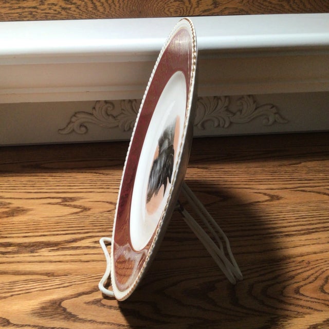 Ceramic Vintage Solian Ware Simpson's Potters Ltd Cobridge England Schnauzer Dog Plate For Sale - Image 7 of 13