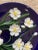 Vintage Ceramic Flower Plate For Sale - Image 10 of 12