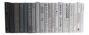 Decorative Books - Grey Ombré Books - Books By The Foot