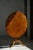 Antique Swedish Burl Wood Tilt-Top Table with Pedestal Base, Early 19th Century For Sale - Image 15 of 18