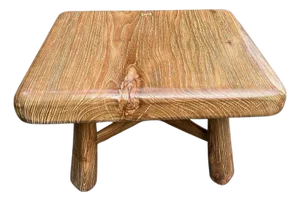 Andrianna Shamaris Mid Century Couture Coffee Table