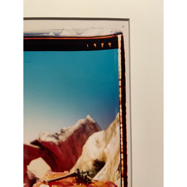 1990s 1999 Pop Art Tomatoes Color Photograph For Sale - Image 5 of 7